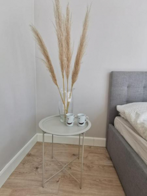 Tolstoi Scandinavian 1 bedroom apartment + free parking